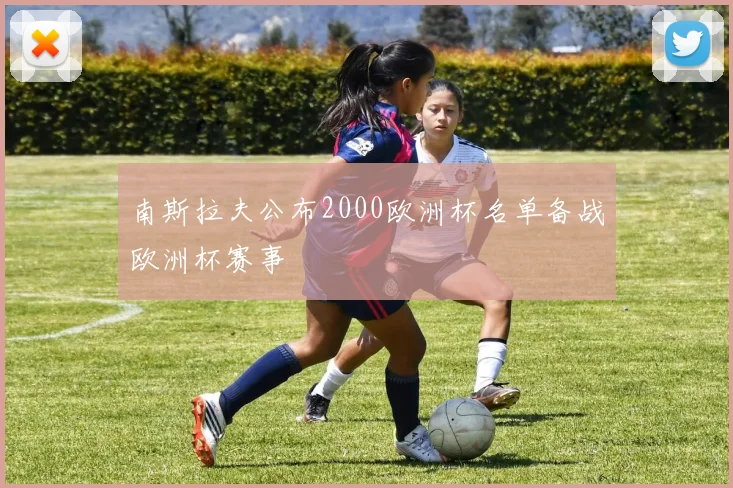 南斯拉夫公布2000欧洲杯名单备战欧洲杯赛事