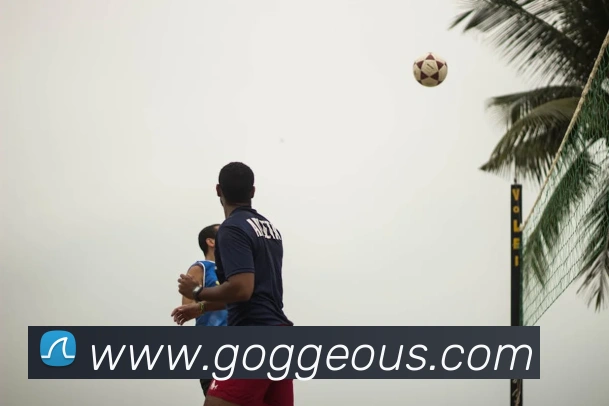 半岛在线登录首页服务体系