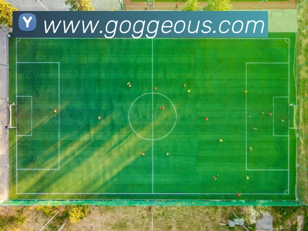 多媒体互动体验