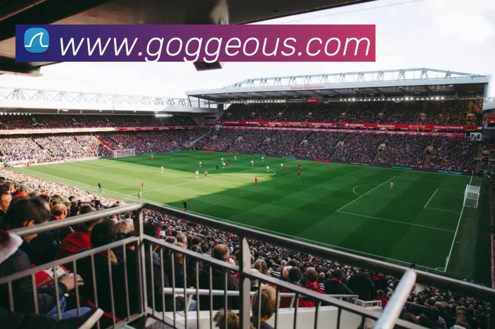 半岛在线登录首页APP 体育赛事宣传图